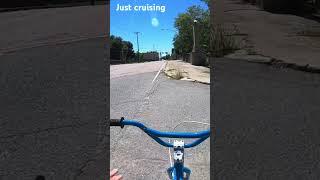 Just out cruising #motivational #bmxcycle #bmxriding #bmxlifestyle #bmxlife #harobmx