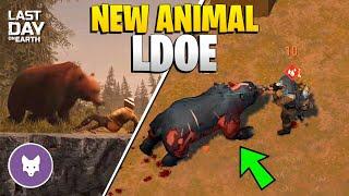 WILL WE GET NEW ANIMALS IN THE NEXT UPDATE?! - Last Day on Earth: Survival
