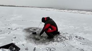 Это ПИ#%ЕЦ! НАШЁЛ ЛУНКУ МЕЧТЫ. СТЕНА ИЗ РЫБЫ ПОД ВОДОЙ