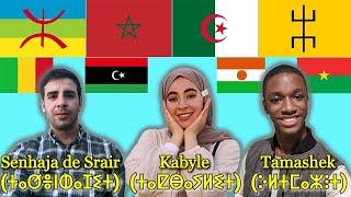 Can Tuaregs, Kabyle and Sanhja Amazighs understand each other?