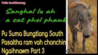 Pu Suma Bungtlang South Pasaltha thiltawn ngaihnawm Part 3 // Sanghal lu ah a sat phel phawk