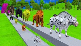 5 Giant Duck Cartoon, Cow, Elephant, Gorilla, Zebra, Monkey, Transfiguration funny animal 2023