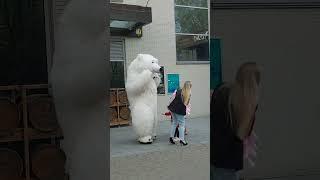 Белый медведь гигантский Мишка Тедди 3 метра Экспресс поздравления Киев . Смотри другие мои видео .