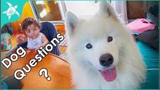 Living on a Boat with a Dog. What is it like? How did you train the dog? Where does she..