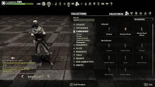 ELDER SCROLLS ONLINE - PVP - FILTHEE CASUAL STYLE