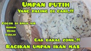 KENAPA GAK DARI DULU,,!! umpan putih ikan mas jitu, simpel tapi hasil memuaskan,