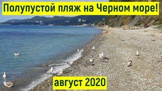 Дешевый кемпинг на Черном море рядом с п.Агой. Морской бриз. Честный обзор, цены, плюсы/минусы, пляж