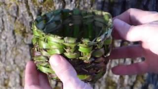 Himalayan Blackberry Bramble Bark Basket