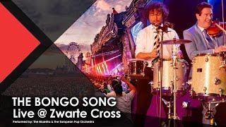 THE BONGO SONG | PERCUSSION DUO - The Maestro & The European Pop Orchestra (Live @ Zwarte Cross)