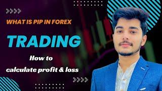 what is pip in forex trading | lot size and pip explained | calculate profit and loss in forex