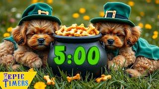 5 Minute Timer with music   St patricks day puppies