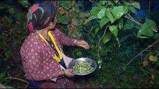 Myvillage official videos EP 1149 || Cooking and eating traditional technology in village