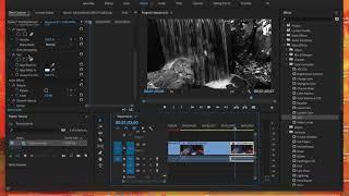 Tint Effect in Premiere Pro