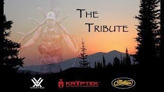 2017 Idaho Archery Elk Hunt | Elk Rut MADNESS!!!