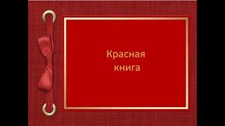 Дистанционный видеоурок Окружающий мир Красная книга 1 класс