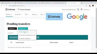 GoDaddy Secret Reveal: Super FAST domain transfer GoDaddy to Google, MINUTES not days
