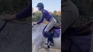 POV: I finally got revenge on my girlfriend | #shorts #funny #funnyfails #horse | Equitation Station