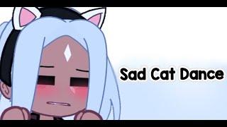 Sad Cat Dance || Meme/Trend || Gacha Club