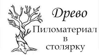 ДРЕВО. Закупка леса для столярной мастерской, что выбрать?