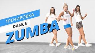 ZUMBA с командой MOTE | Зумба для начинающих | Танцевальная тренировка | Mote Fitness