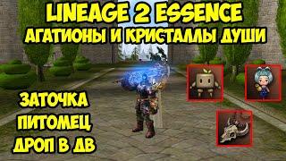 Агатионы и кристаллы души для бездонатной машины в Lineage 2 Essence.