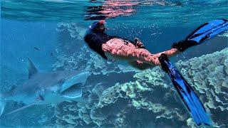 Secret shark paradise sailing Western Australia - Ep137
