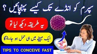 How To Send  Sperm inside For Pregnancy |How To Get Pregnant Fast in Hindi |How To Pregnant a Woman