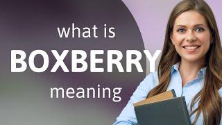 Boxberry | what is BOXBERRY definition