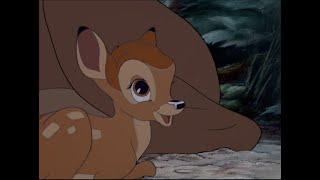 Bambi: The New Prince Is Born!