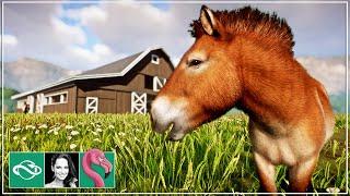  Przewalski's Horse Barn Habitat Design | Planet Zoo Tropical Franchise Mode Gameplay | Ep. 7 |