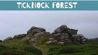 Ticknock Forest |  A Walk To Remember  | Travel with Neha