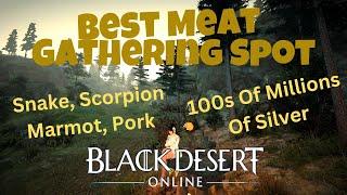 Best Meat Gathering Spot 2024 Black Desert Online