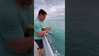 amazing fishing skills || fishing giant || amazing fishing ,fishing skill wow#short