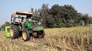 Punjab farmers fight the smog with eco-friendly agriculture | REUTERS