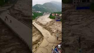 Flood news Himachal live update | Flood flow over bridge| Himachal flood news #shorts #youtubeshorts