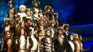 Jellicle Songs For Jellicle Cats|Cats