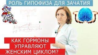 Как гормоны влияют на зачатие? Эндометриоз и беременность.