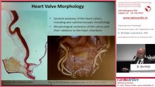 D. Berdajs (Lausanne, CH): "Operative Anatomy of the Heart"