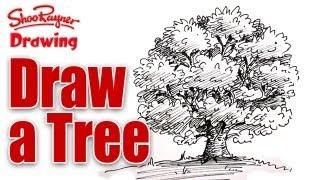 How to draw a tree in pen and ink