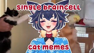 CATS USING 100% OF THEIR BRAIN | VTUBER REACTS TO MEMES