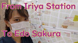 From Iriya station to The Edo Sakura