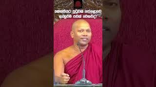 සිතින් වෙන දරුණුම පවක් "කේන්තිය" | Niwathapa Thero | Niwana Soya | #shorts#budubana#niwathapathero