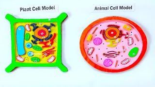 animal and plant cell model  3d making science project using cardboard | craftpiller @howtofunda