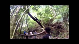 PALEO TOURS CARRETERA AUSTRAL METRI