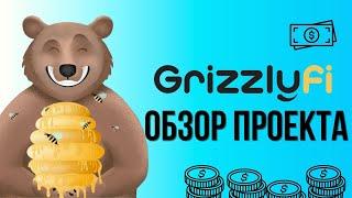 Grizzly Finance - Обзор Проекта | grizzly.fi Перспектива