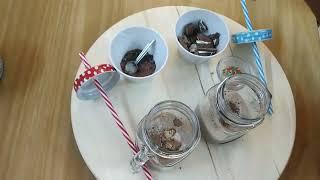 oreo shake#kids special#mathuplays#gamingpk