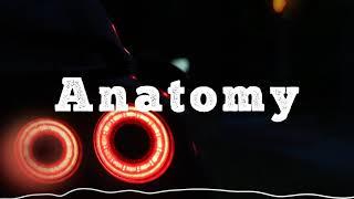 NextRO - Anatomy (Original Mix)