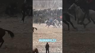 Абдусалом ️  "Звезда"                    #dushanbe #buzkashi #tjk #uzb #uloq  #horse #tajikistan