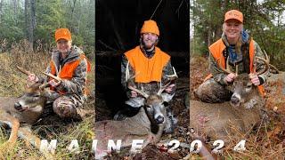 Three Maine Bucks hit the ground | 2024 Rifle Season