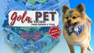 Gola Pet "P" em Tecido | Série: "BANHO E TOSA EM TECIDO PARA MACHO" 3° de 3 Vídeos 